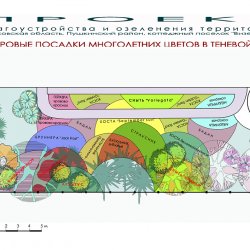 Проект дачного участка 15 соток - план цветника в тени